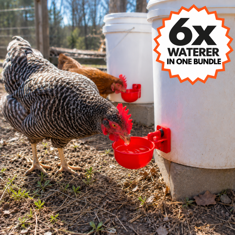 Professional Chicken Waterer