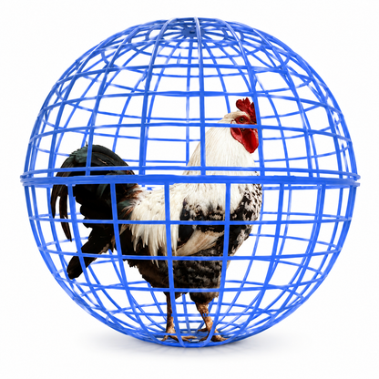 ChickenMom Orb