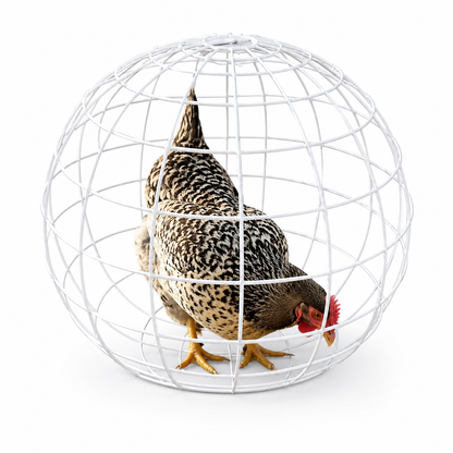 ChickenMom Orb